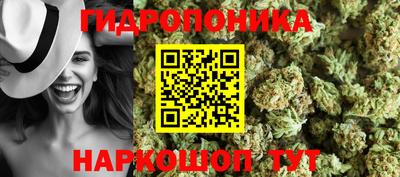 прущие грибы Усть-Джегута