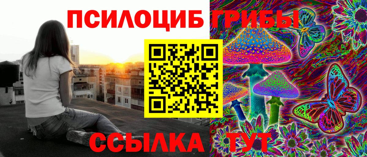 Галлюциногенные грибы Magic Shrooms  даркнет сайт  Брянск  Вход с VPN 