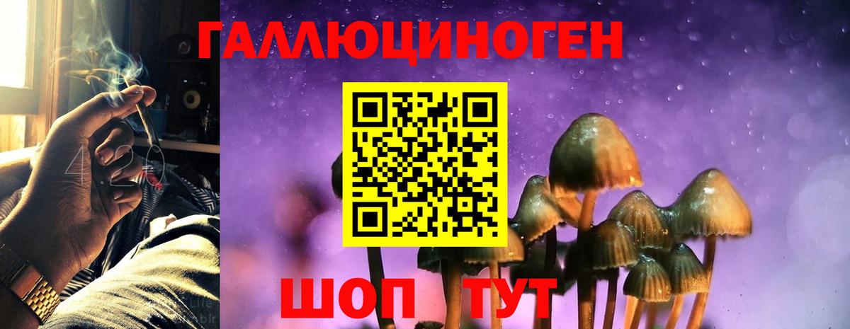 Галлюциногенные грибы MAGIC MUSHROOMS Брянск